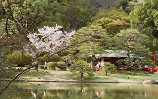 宁静古朴的日本庭园 东京六义园