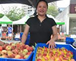 五峰乡甜桃成熟了 新瓦屋绿市集很热闹