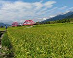 宜花东公粮收购 6月中旬启动