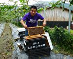 四代养蜂人的坚持 让蜂蜜自然熟成