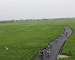 2017三奇稻間美徑 大夥相約尬攝影