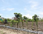 同享田園樂 宜市第四座市民農園開工整地