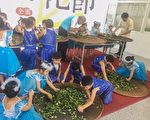 全国红茶制茶比赛 暨冬山茶艺文化节 登场
