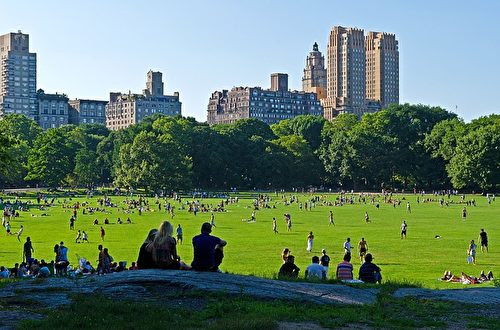 紐約中央公園大草坪。(hnelson57/CC/Pixabay)