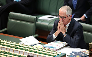 執政僅兩年 澳洲總理或被迫宣布提前大選