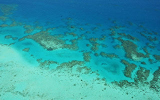 澳洲大堡礁首次被估值 总资产值560亿澳元