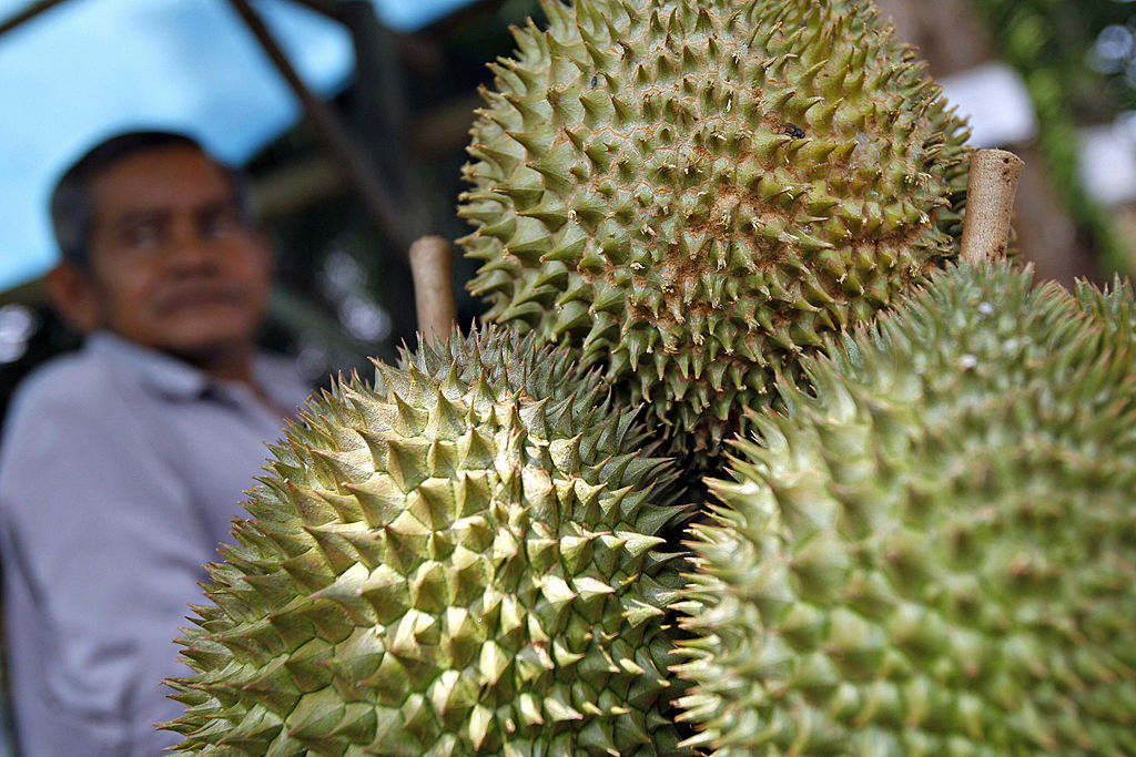 【翻墙必看】中国人实现“榴莲自由”了？