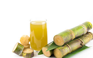 甘蔗是温带和热带农作物，是制造蔗糖的原料。（Fotolia）