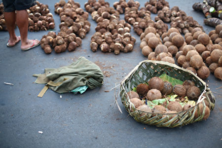 当地居民贩卖椰子和芋头 (Mark Kolbe/Getty Images)