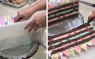 一个蛋糕50人尝 澳甜品女王的切法简单漂亮