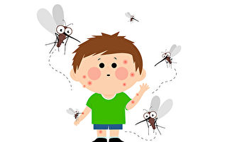 灭蚊大作战 自制捕蚊神器超简单