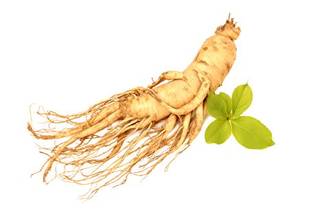 使用化肥种植的人参，会使功效、营养成分降低。（Shutterstock）