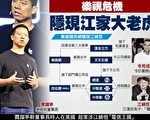乐视危机 隐现江家大老虎