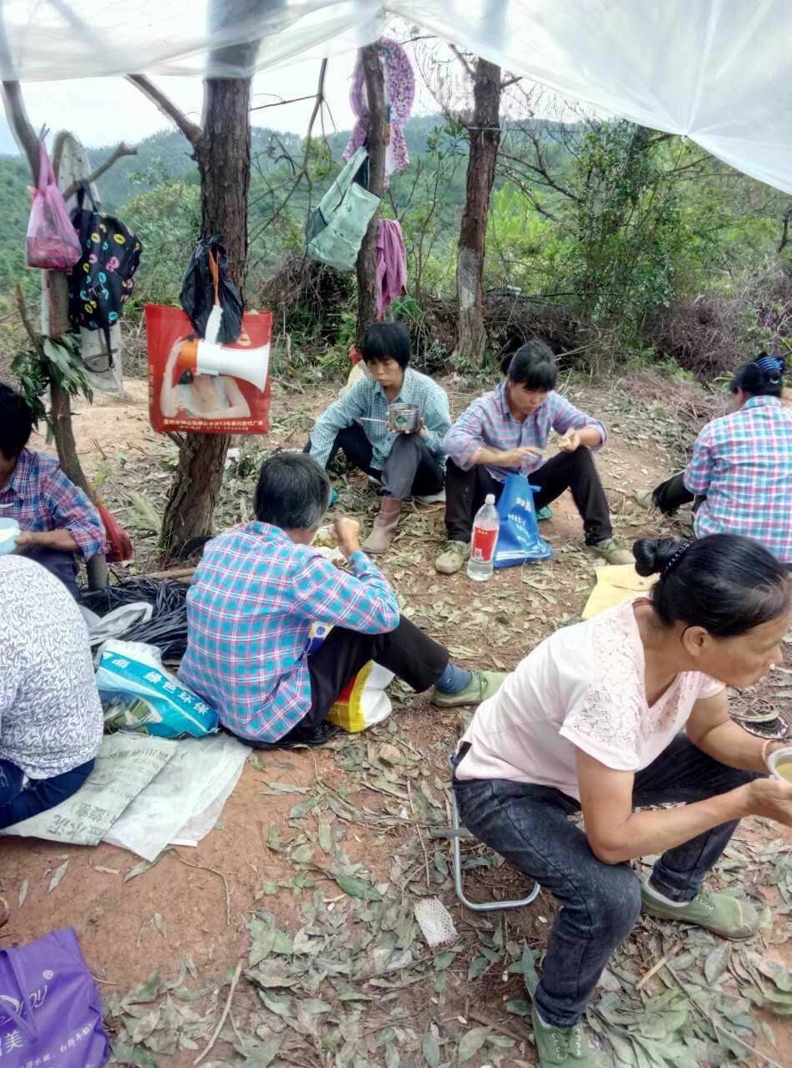 广西贺州市钟山县两安乡立头村数百村民抗议稀土开采所造成的污染问题。(村民提供)