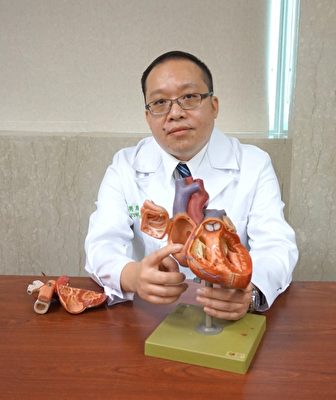 新竹馬偕心臟外科劉庭銘醫師解說心臟構造。（新竹馬偕醫院提供） 