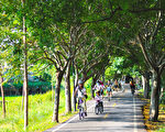 暢遊中市山海美景 步道、鐵馬道陸續完工