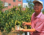 公馆乡谢天祈福   红枣平安庆丰收