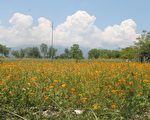 花園綠景妝點蘭陽平原迎接全運會