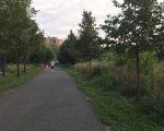 法拉盛公園色狼 或面臨終身監禁