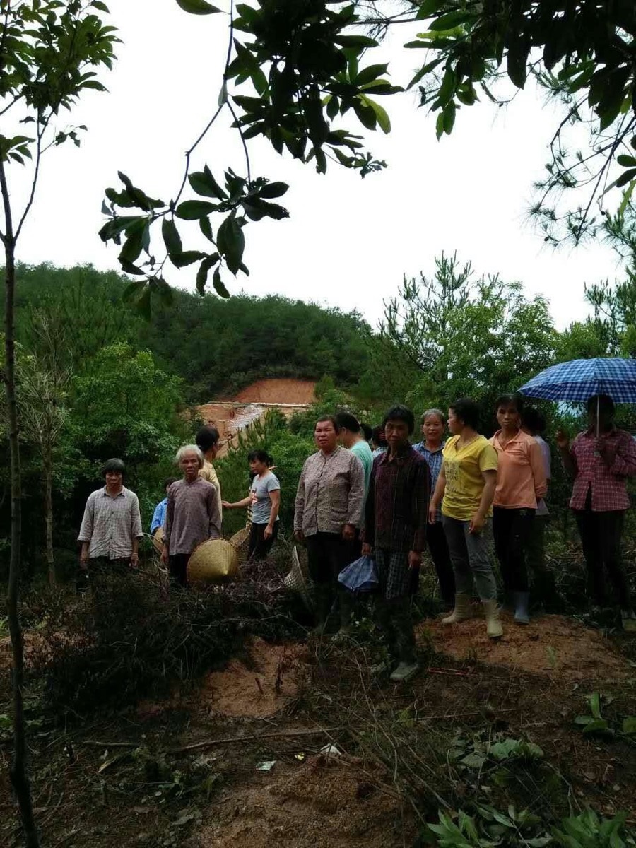广西贺州市钟山县两安乡立头村数百村民抗议稀土开采所造成的污染问题。(村民提供)