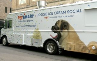 慶國際冰淇淋日 狗狗獲免費冰淇淋