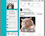 大陆A、B网站海外剧被下架 中共洗脑加剧