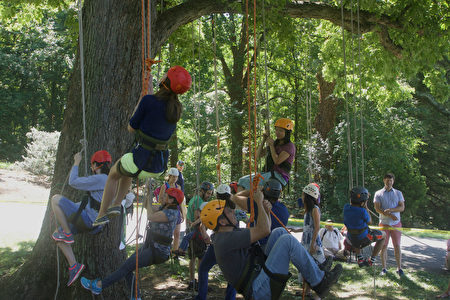 大小觀眾們也可以在現場體驗一番爬樹的樂趣。（林樂予／大紀元）