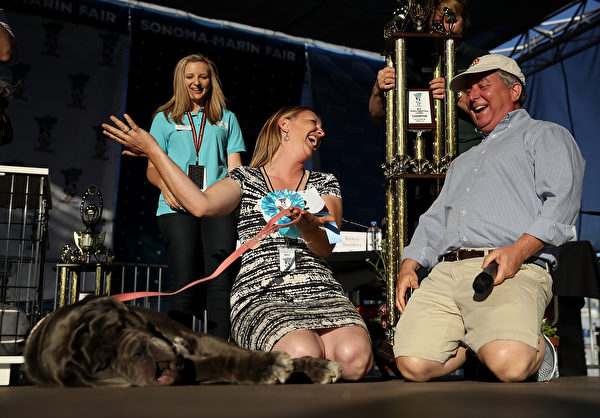 第29届“世界最丑狗比赛”（World's Ugliest Dog Contest）的冠军狗为名叫玛莎（Martha）的那不勒斯獒犬。(Justin Sullivan/Getty Images)