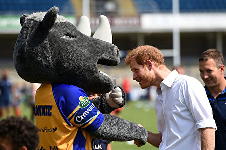 “让我看看你长了几颗牙。”哈里王子会见利兹犀牛队的吉祥物犀牛罗尼。(PAUL ELLIS/AFP/Getty Images)
