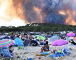 法国森林大火 烧掉约270座大安森林公园