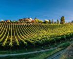 【阮公子】BC 新秀酒园 Mirabel Vineyards