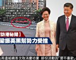 习访港秘闻：传撑梁振英黑帮组织活动受挫