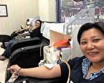 暑期鬧血荒 議員服務處一馬當先