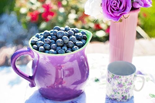 藍莓。(Jill Wellington/CC/Pixabay)