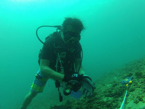 林隽砚长年泡在东北角海域，用水下摄影机记录软丝的一举一动。（清华大学提供）  