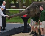 伦敦动物园还有新玩法！ZSL London Zoo