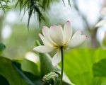 一點「真」心
