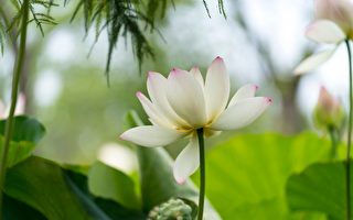一點「真」心