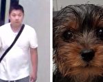 亚裔面孔男子涉嫌遗弃小狗 警方寻人