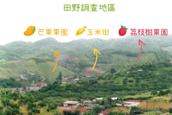 黃樹民與雲南大學、清邁大學團隊，選擇芒果、玉米、荔枝樹農地，檢測當地農作對水土成分的影響。（圖片來源／黃樹民提供 圖說重製／張語辰）