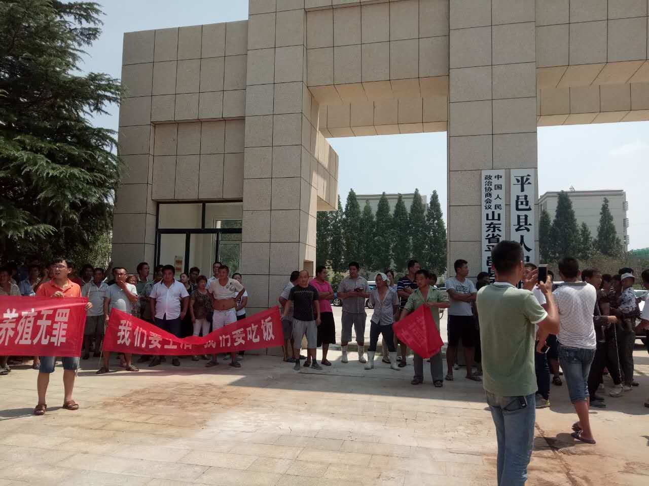 山东省以环保名义强拆养殖户的猪、鸭、鸡棚,无任何赔偿与安置,养殖户损失惨重。平邑县百余名养殖户近日到县政府维权遭警镇压。(村民提供)