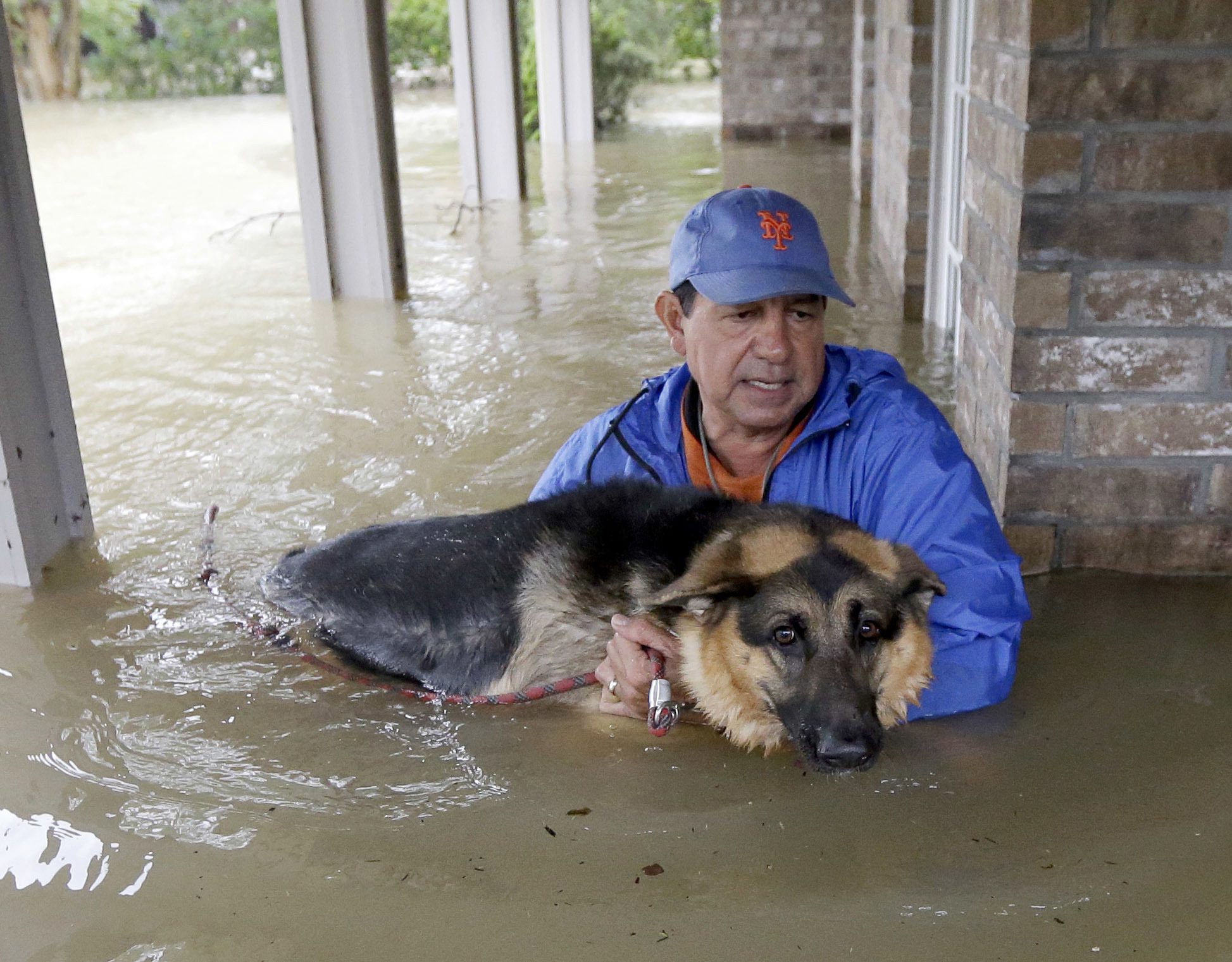 家中洪水齐腰，居民带着宠物撤离。（加通社）