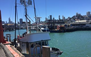 旧金山渔人码头的渔船整装待发，迎接三文鱼商业捕捞季。（李文净／大纪元）
