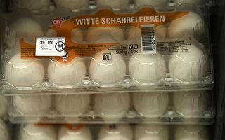 比利时农业部长杜卡姆表示，去年11月底荷兰就验出鸡蛋含有杀虫剂芬普尼。图为阿尔克马尔超市出售鸡蛋。(JOHN THYS/AFP/Getty Images)
