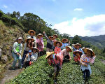 台坪林藍鵲茶 黃柏鈞貸款200萬當推手