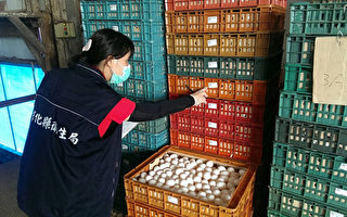 彰化縣有蛋雞場被驗出生產的雞蛋有禁用農藥芬普尼，彰化縣衛生局22日前往國賀牧場追查雞蛋流向。（彰化縣衛生局提供）