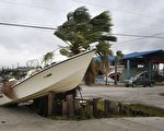 飓风哈维重创德州 川普拟亲访灾区