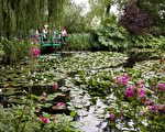 參觀法國吉維尼莫內花園 自然與藝術之旅