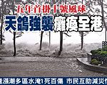 五年首挂十号风球 “天鸽”强袭重创香港