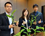 闯国际市场 台湾农技需大企业格局